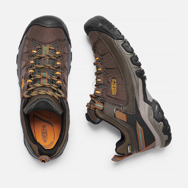 Keen Targhee EXP Waterproof Wanderschuhe Herren DE-87230 Cascade/Inca Gold - Keen Herrenschuhe Braun